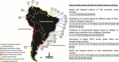 Systematic Review of Fish Ecology and Anthropogenic Impacts in South American Estuaries: Setting Priorities for Ecosystem Conservation